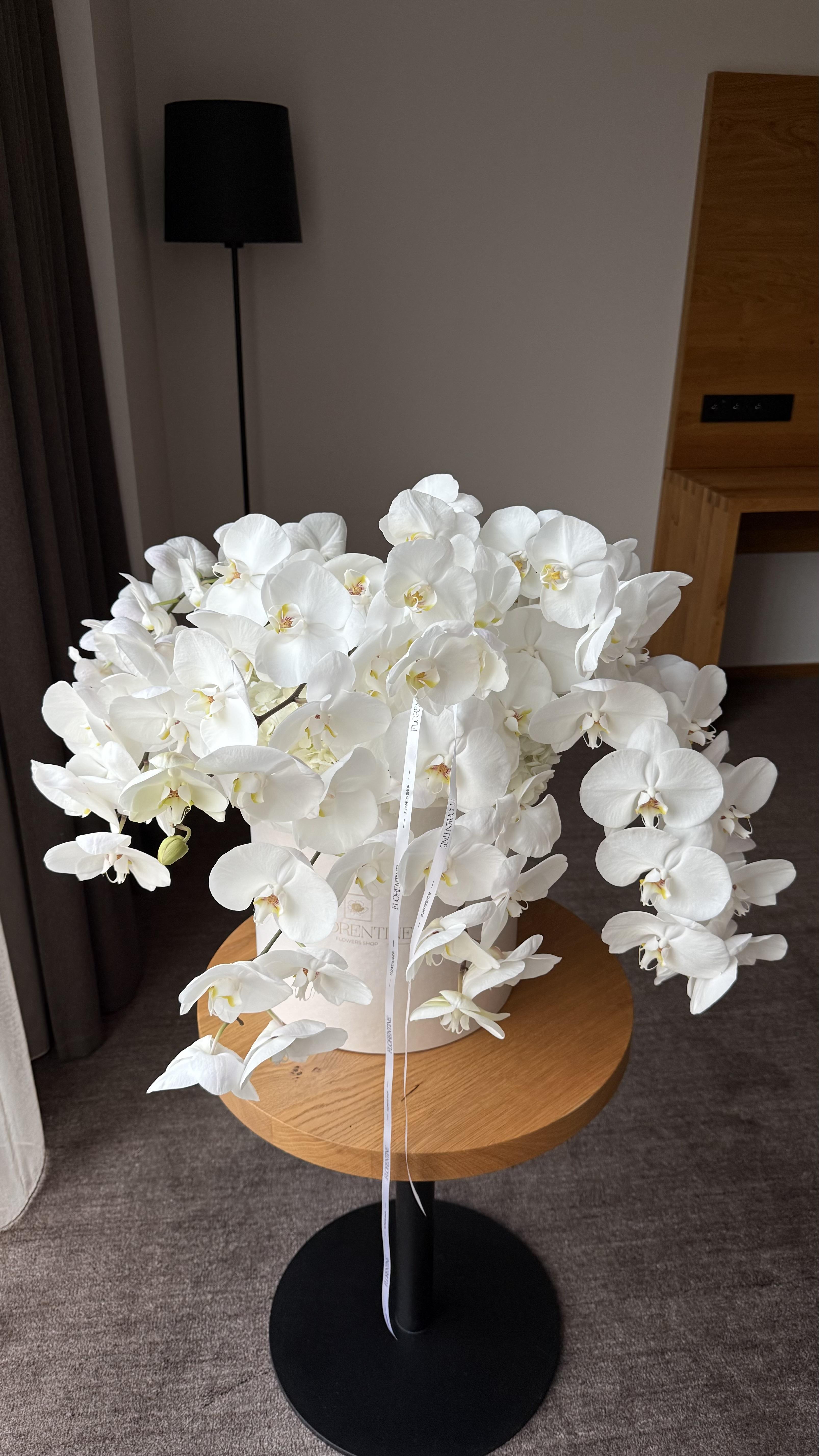 Luxurious White Orchid Box